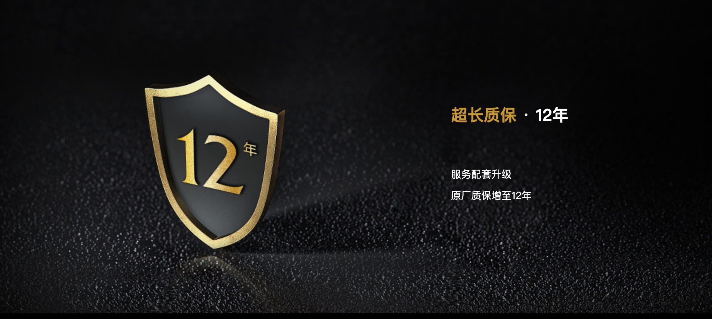 威固V10X质保